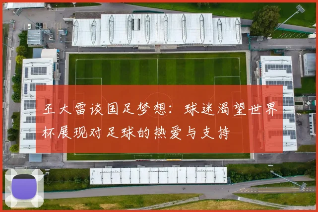 王大雷谈国足梦想：球迷渴望世界杯展现对足球的热爱与支持